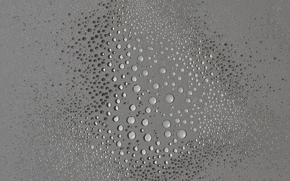 Spirulina Tonic Clarifying Face Mist Mini